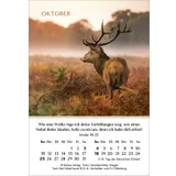 Stimmungsbild zu Ein Jahr der Hoffnung 2026 - Minikalender