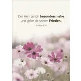 Stimmungsbild zu Unendlich geliebt - Blechdose