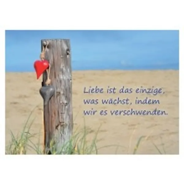 Produktbild des Artikels Liebe ist das einzige was wächst, indem wir es verschwenden - Postkarte (Schreibwaren)