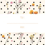 Stimmungsbild zu Wie schön, dass es dich gibt! - Geldscheinbox