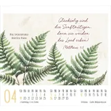 Stimmungsbild zu KunstWerke des Schöpfers 2026 - Minikalender