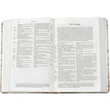 Stimmungsbild zu Schlachter 2000 - Taschenausgabe - Motiv "Pampasgras"