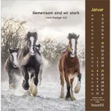 Stimmungsbild zu Gottes Liebe ist wie die Sonne 2026 - Postkartenkalender