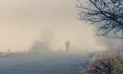 Bild zum Newsbeitrag - Auf der Suche