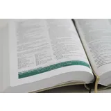 Stimmungsbild zu Die Bibel mit Impulsen von Joyce Meyer, Kunstlederausgabe