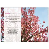 Stimmungsbild zu Du wirst getröstet