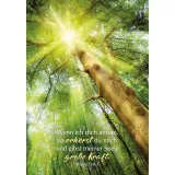 Stimmungsbild zu Karten-Box: Heute und morgen in Gott geborgen