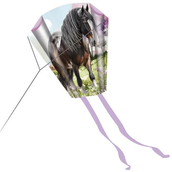 Produktbild des Artikels Taschen-Drachen: Gottes Güte trägt dich (Pferd) ()