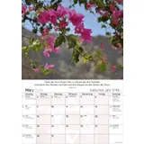 Stimmungsbild zu Israel 2026 - Posterkalender