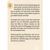 Stimmungsbild zu 24 Lichtmomente in der Weihnachtszeit - Adventskalender