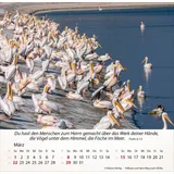 Stimmungsbild zu Israel Shalom 2026 - Tischkalender