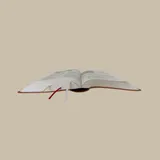 Stimmungsbild zu Elberfelder Bibel. Die große Studien- und Kommentarausgabe