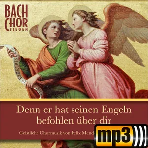 Produktbild des Artikels Warum toben die Heiden (MP3-Track - Download)