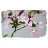 Stimmungsbild zu Ich bin für dich da - Textkarten