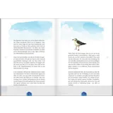 Stimmungsbild zu Mit Gott auf der Insel