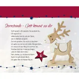 Stimmungsbild zu Seht, es leuchtet sein Stern - Adventskalender