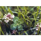 Stimmungsbild zu Glücksbotschaften - Postkartenbox