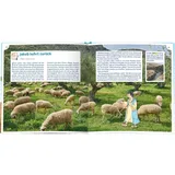 Stimmungsbild zu Wissensbibel für Kinder