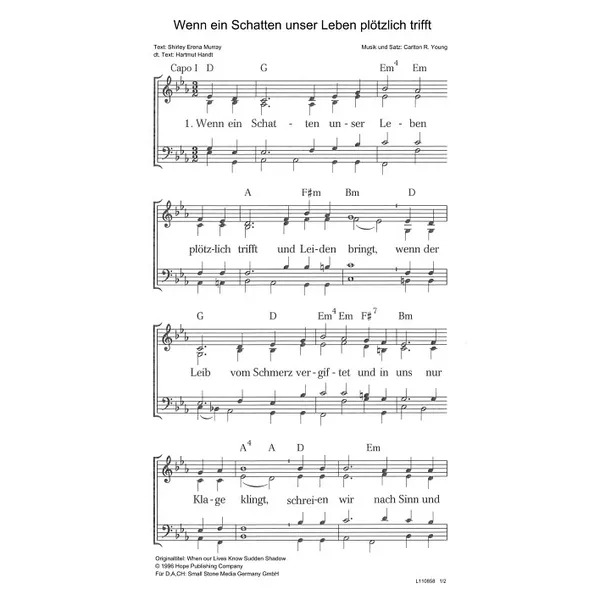Produktbild des Artikels Wenn ein Schatten unser Leben plötzlich trifft (Noten - Download)