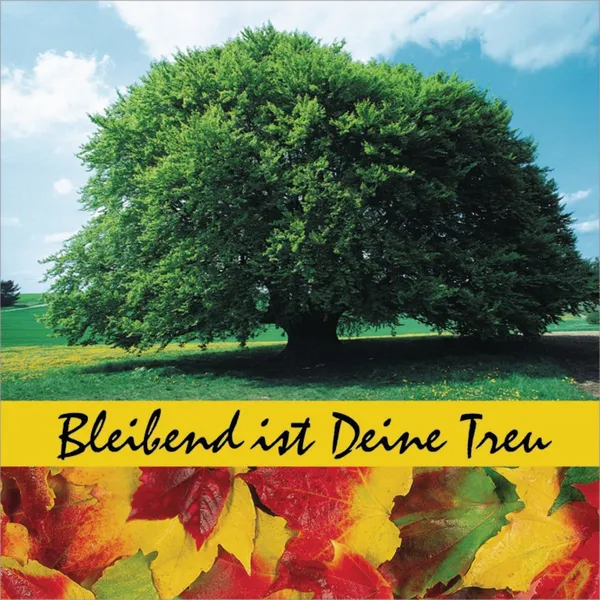 Produktbild des Artikels Bleibend ist deine Treu (MP3-Album - Download)
