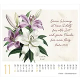 Stimmungsbild zu KunstWerke des Schöpfers 2026 - Minikalender