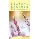 Stimmungsbild zu Vitamine fürs Herz 2026 - Wandkalender