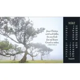 Stimmungsbild zu Sehnsucht nach Unendlichkeit 2026