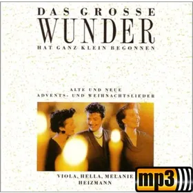 Produktbild des Artikels Es ist kein Raum für dich (MP3-Track - Download)