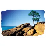 Stimmungsbild zu Ich bin bei dir - Textkarten