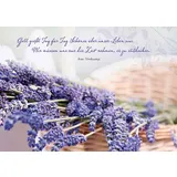 Stimmungsbild zu Tausend Geschenke - Postkartenbuch