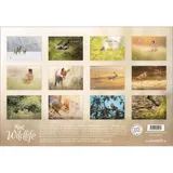 Stimmungsbild zu Real Wildlife 2026 - Wandkalender