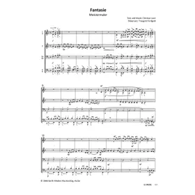 Produktbild des Artikels Meistermaler - Fantasie (Noten - Download)