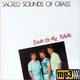 Produktbild des Artikels Back To The Bible (MP3-Album - Download)