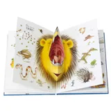 Stimmungsbild zu Wunderbare Welt