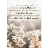 Stimmungsbild zu Unendlich geliebt - Blechdose