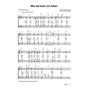 Produktbild des Artikels Wie tief kann ich fallen (Noten - Download)