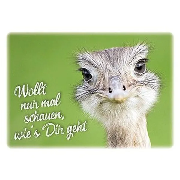 Produktbild des Artikels Postkarten: Wollt nur mal schauen, wie's Dir geht, 4 Stück (Schreibwaren)