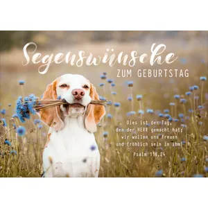 Produktbild des Artikels Faltkarte "Segenswünsche zum Geburtstag" - Hund (Schreibwaren)