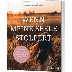 Produktbild des Artikels Wenn die Seele stolpert (Buch - Klappenbroschur)