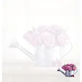 Stimmungsbild zu Notizblock: Ich wünsche dir auf allen Wegen