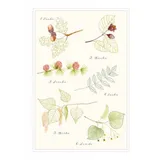 Stimmungsbild zu Kartenbox - natur-verliebt