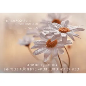 Produktbild des Artikels Faltkarte "Gottes Segen" - Blume (Schreibwaren)