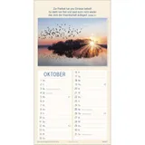 Stimmungsbild zu Meine Zeit in seinen Händen 2026