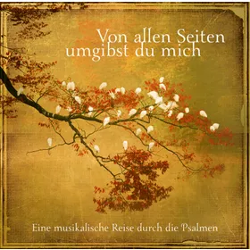 Produktbild des Artikels Von allen Seiten umgibst du mich (Playback ohne Backings) (MP3-Album - Download)