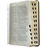 Stimmungsbild zu Schlachter 2000 - Taschenausgabe, Goldschnitt, Griffregister