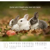 Stimmungsbild zu Beste Freunde 2026 - Posterkalender