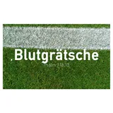 Stimmungsbild zu Heiliger Rasen