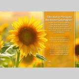 Stimmungsbild zu Geh deinen Weg