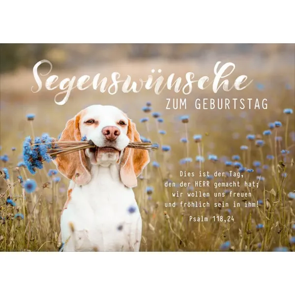 Produktbild des Artikels Faltkarte "Segenswünsche zum Geburtstag" - Hund (Schreibwaren)
