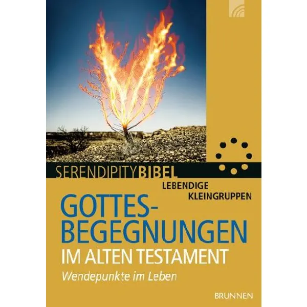 Produktbild des Artikels Gottesbegegnungen im Alten Testament (Buch - Geheftet)